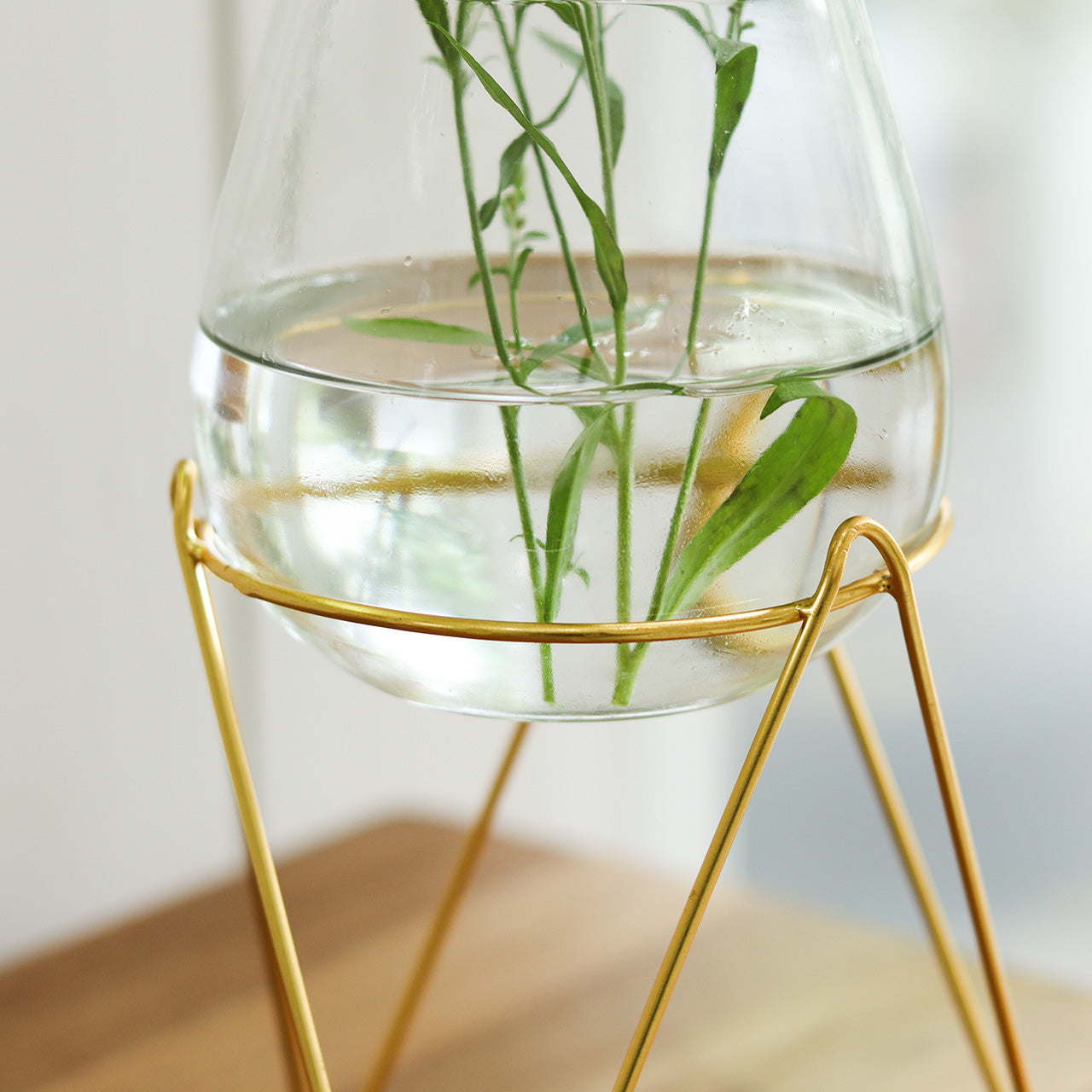 in bloom｜金色鐵支架與玻璃花器-家居佈置-Creer-七時雜貨 700zakka